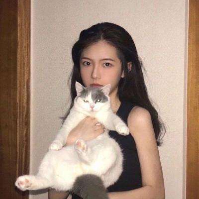 数码宝贝tri百度版下载